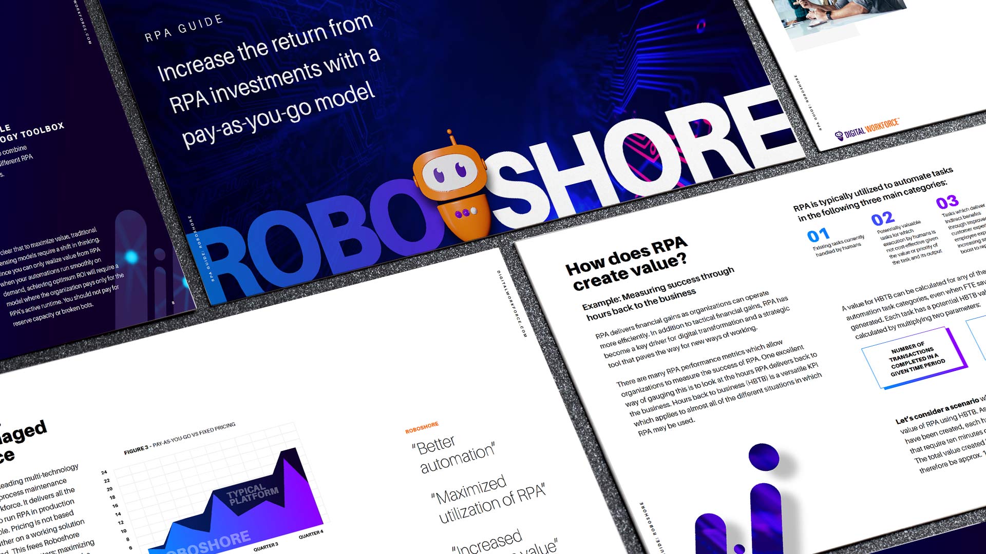 Roboshore-GUIDE-cover1 Roboshore-GUIDE-cover1